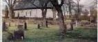 Olycksträd på kyrkogården i Loftahammar avverkat