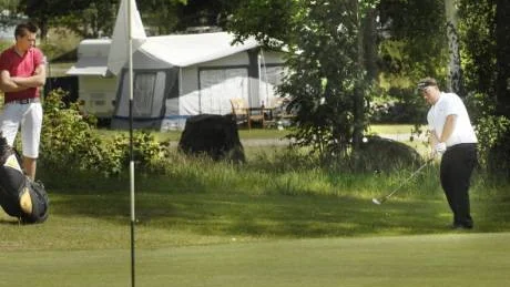 2009 blev ett riktigt bra år för Västerviks Resort. Och nu börjar man se "ljuset i tunneln" också för golfbanan. Arkivbild: Lisa Olaisson