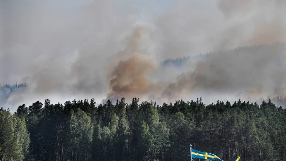 Skogsbrand i Enskogen utanför Ljusdal.