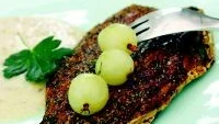 Sås. Krusbärssås till fet fisk var vanligt förr. Dags att göra trend av traditionen.