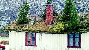 Pittoreskt. Strax utanför Hemsedal finns möjlighet att bo i liten stuga med egen granskog på taket.