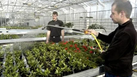 Mika Kärki vattnar blommor i växthuset på dagcenter. I bakgrunden syns verksamhetsledaren Magnus Eriksson. Arkivbild: Hans Brandin