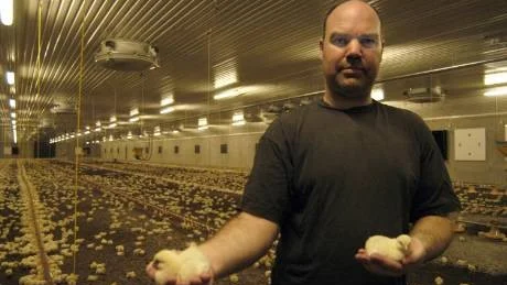 Henrik Östersten, Forsby, håller upp två av ofattbara 128 000 kycklingar som just nu växer så det knakar. Foto: Hans Brandin