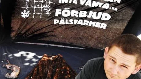 Jens Winbäck, som är engagerad i Djurrättsalliansen, vill få ett stopp på minkfarmerna. I går visade han och några andra medlemmar ur organisationen upp flådda minkar på Storgatan i Västervik.Foto: ellen Kindstrand