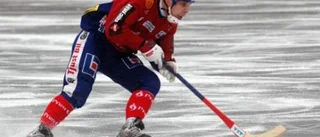 Ny nolla för Tjust Bandy