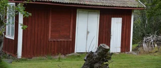 Riksvägen genom skogen