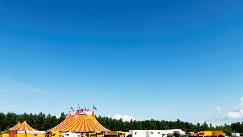 Cirkus. Harald Hjalmarssons motion om vilda cirkusdjur är fördomsfull, enligt insändarskribenten.