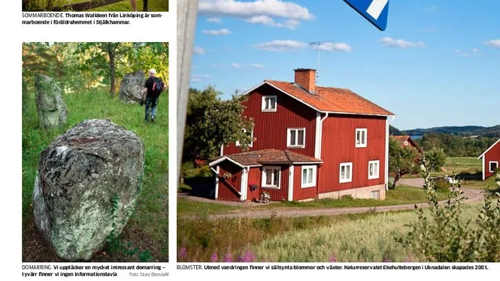 Reaktion. Förra sommaren skrev VT om att det var svårt att hitta domarringarna i Stjälkhammar.