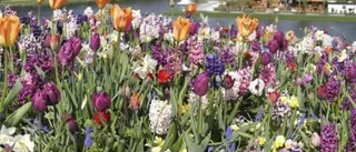 En blommande floriad