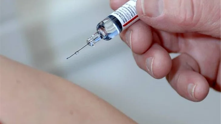 Vaccinationen från 2009 skyddar fortfarande mot svininfluensan.