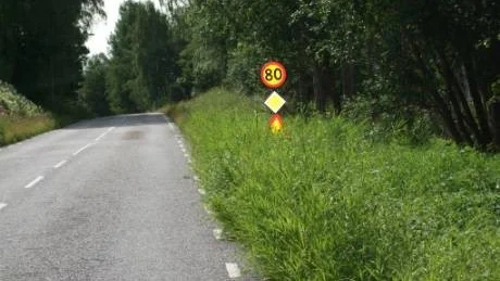 Dold i gräset är skylten som varnar för stenskott, alltså  även för löst grus.Foto: Owe Säfström.