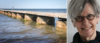 Bråket om badbryggan avgjort i domstol • 120 fastigheter slipper miljonsmäll • ”Skulle varit helt olagligt”