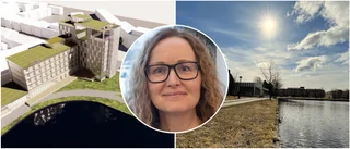 Framgång för kritiserat hotellprojekt – strandskydd får upphävas