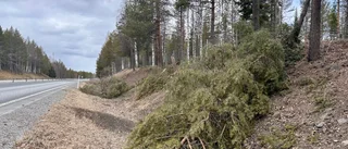 Fyra personer i svår olycka på E4 i Norrbotten – man IVA-vårdas