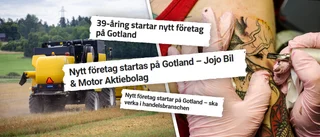 LISTA: Flera nya företag startade – här är företagarna bakom 