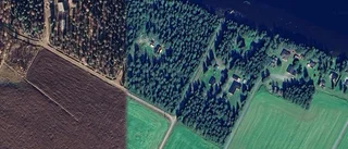 Tomt i Bodens kommun såld – priset: 315 000 kronor