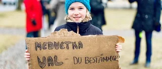 Global klimataktion även i Nyköping: "För att påminna politikerna"