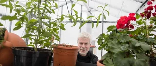 Han leder teknikinstallationerna i Botaniska trädgården i Göteborgs nya växthus