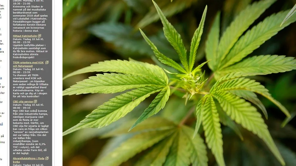 I kommunens evenemangskalender dök två minst sagt udda evenemang upp, som tycks ha handlat om försäljning av cannabisolja. Det är oklart om oljan är laglig, men de annonserade produkterna är inte godkända av Läkemedelsverket. Bilden är ett montage.