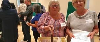 De hämtar röster hemma hos väljare
