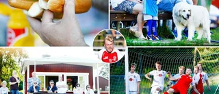 "Östermalmssyndromet" och korvmingel