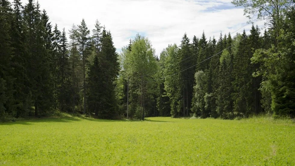 Campingen.jpg
