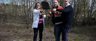 Spaden i jorden för badstranden