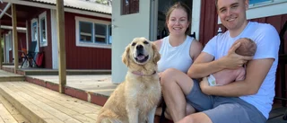 Svårt att hitta badplats för hunden: "Väldigt tråkigt – men kan förstå varför"