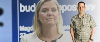 "Att en regering bildas är en sak och dess budget är en annan"