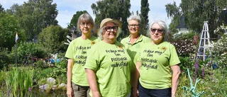 Rekord för Öppen trädgård: "Ska vara rufsigt"