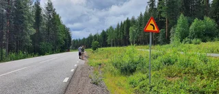 Flytta vägen upp mot skogen     