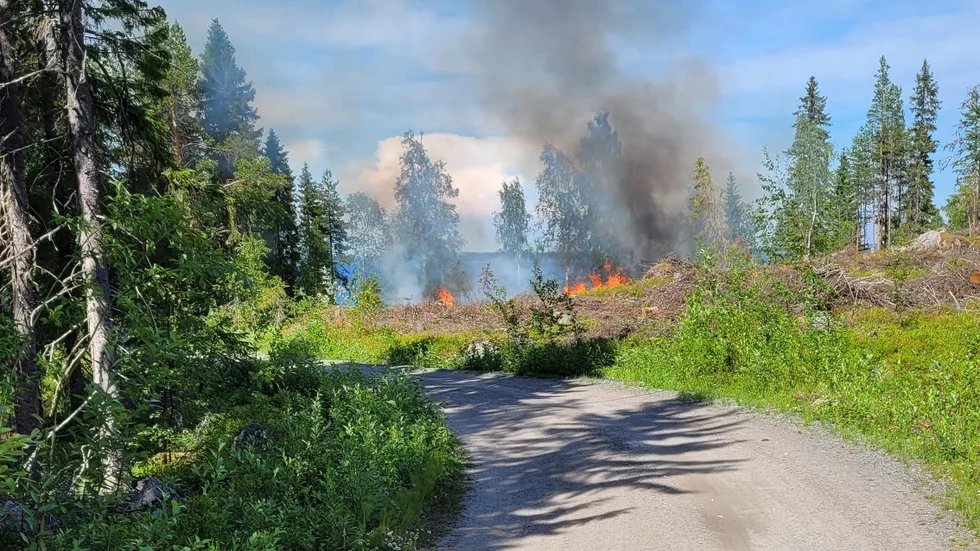 Det brinner i terrängen i Brändön. När bilden togs, cirka 10 minuter innan räddningstjänsten var på plats,  brann det på en yta av cirka 30 x 30 meter.