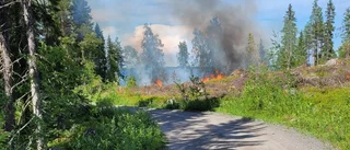 Sommarstugor hotades av skogsbrand i Luleå