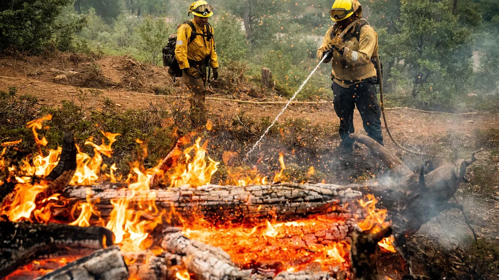 Brandmän bekämpar branden nära nationalparken Yosemite.