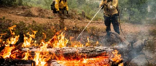 Bromsad spridning av brand nära Yosemite