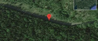 Fallna träd skapar problem i trafiken på väg 686