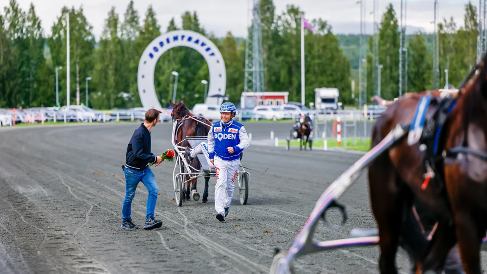 Bodentravets banchef David Zimmer och tränaren Petri Salmela kan se fram mot en jackpottkväll när V64-omgången kryddas med 1,2 miljoner.