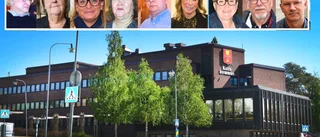 Det här vill partierna: ✓Bra livsmiljö ✓Tak över huvudet ✓Tillväxt ✓Värna näringlivet