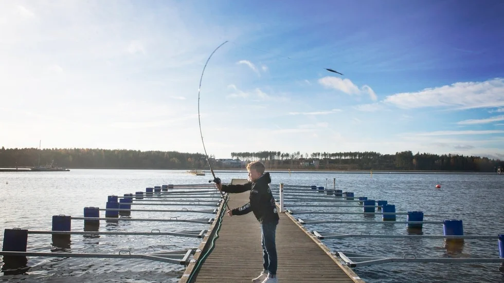 Det var Davids pappa som tog med honom på sin första fisketur som tvååring, men Davids fiskeintresse överstiger numera pappa Henriks med långa vägar. Flera dagar i veckan står han på bryggan en bit från familjens boende och fiskar. "Det finns faktiskt lite fisk här, men det är bättre ute i skärgården. Jag släpper tillbaka nästan allt jag fångar, äter kanske en eller två abborrar och gäddor per år av alla jag får upp. Det är viktigt med fiskevård, att ha bra utrustning som inte gör fisken illa."
