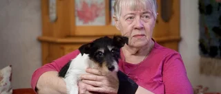 Marianne, 83, hölls fast av tjuvar: "De stal halsbandet jag sparat i alla år"