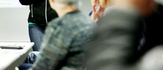 Veteranpoolen hyr ut pensionärer som arbetskraft