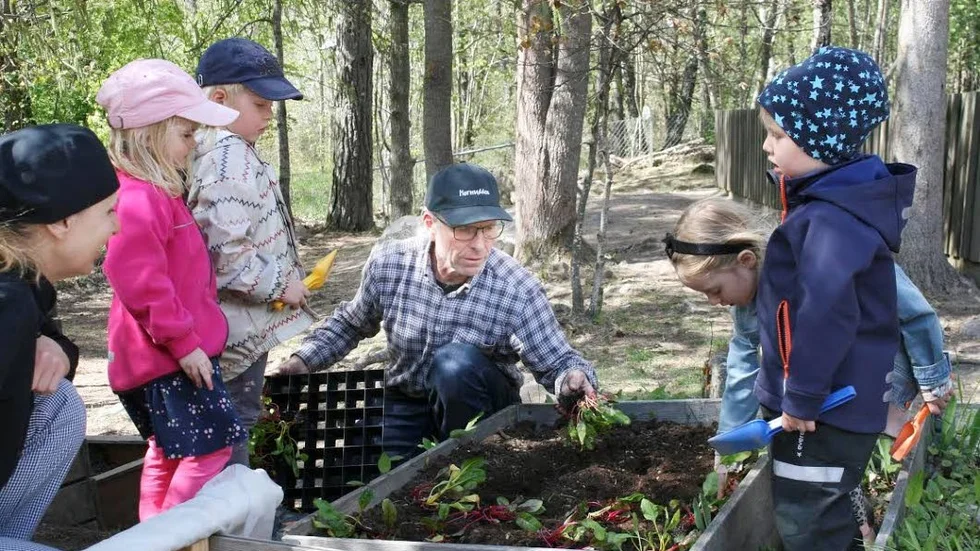 En del av projektet är att Mats Sjöstedt från Hornudden hjälper förskolor med pallkrageodling. Här är han på Täppans förskola tillsammans med kocken Irene Monvik och barnen Agnes, Vilmer, Sally och Tage.