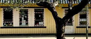 Våg av sabotage mot skolor i natt – fönster krossade