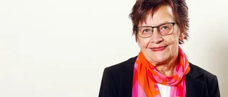 Höjda politikerarvoden kan bryta mot lagen – anmäls till rätten: "Jättekonstigt att ingen reagerade"