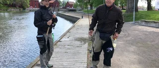 Förslag: Båtplatser i Nyköpingsån