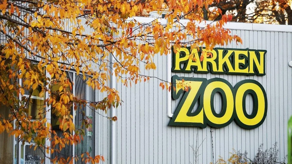 En kassa på 800 kronor stals i helgen från Parken Zoo.