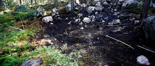 Brandmisstänkt kvinna släppt