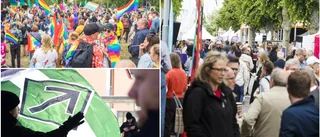 Få högerextrema väntas till Almedalsveckan • Bara en manifestation på schemat • "Brukar vara varje år"