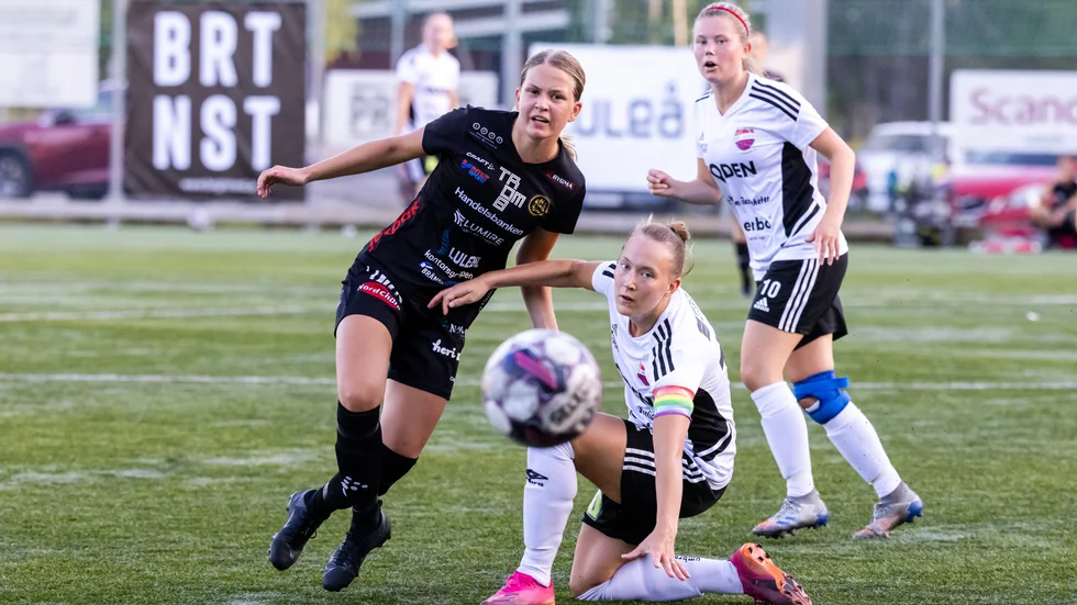 Kommer lagen ha ekonomiska muskler att kunna spela i "nya" division 1? Sporten krönikör Jesper Sandberg trar att lagen norr om Gävle kommer få det tufft.