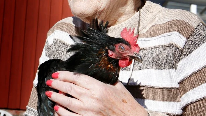 90-årsdagen firas på Mallorca tillsammans med en svärdotter, två barnbarn och två barnbarnsbarn.